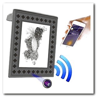 Hidden Camera Recorder for Windows